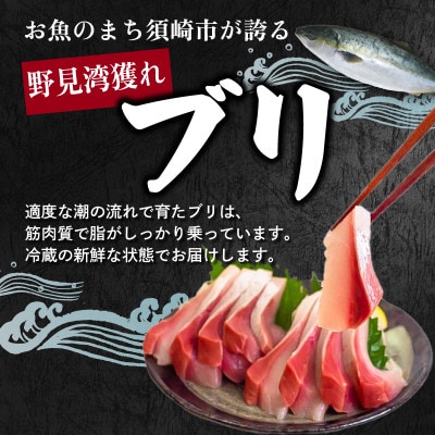 ブリ刺身 150g以上