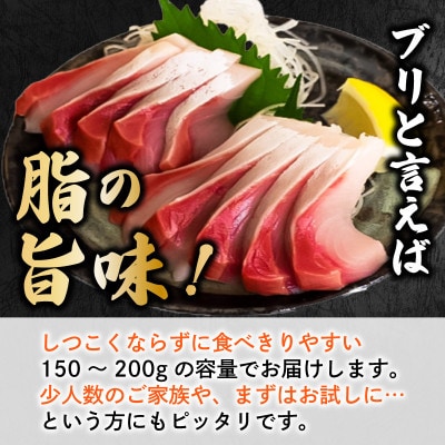 ブリ刺身 150g以上