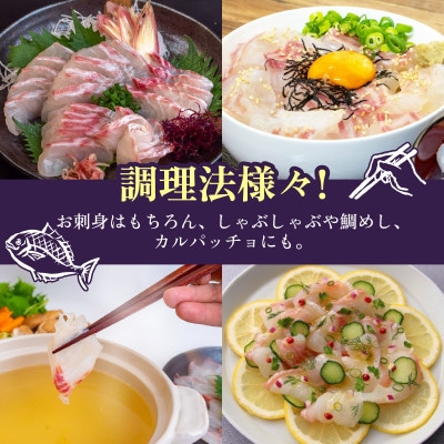 真鯛 スキンレスロイン 刺身 250g 冷蔵