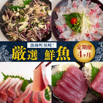 【毎月定期便】漁師町厳選 鮮魚 4ヶ月定期便全4回
