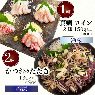 【毎月定期便】漁師町厳選 鮮魚 4ヶ月定期便全4回