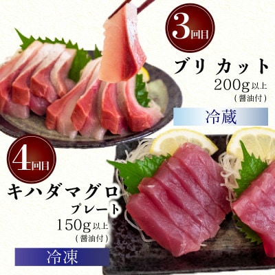 【毎月定期便】漁師町厳選 鮮魚 4ヶ月定期便全4回