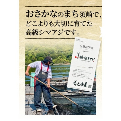高級シマアジ 美粕祇万アジ 500g フィーレ カマ アラ付