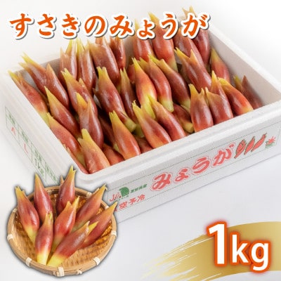 秀品 A等級 すさきのみょうが 1kg
