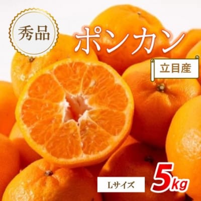 【先行受付】《2027年1月下旬から順次発送》　秀品　立目産　ポンカン　5kg(Lサイズ)
