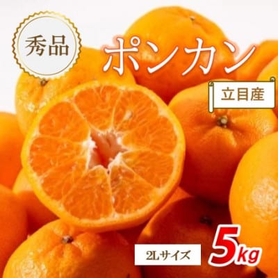 【先行受付】《2027年1月下旬から順次発送》　秀品　立目産　ポンカン　5kg(2Lサイズ)