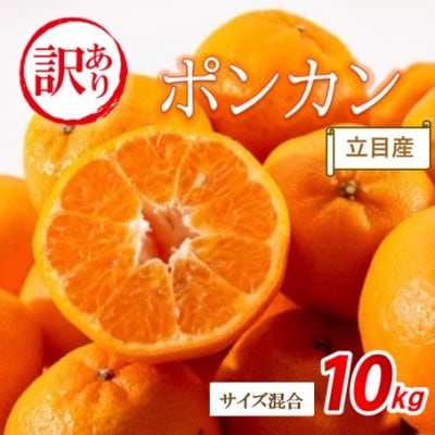 【先行受付】《2027年1月下旬から順次発送》　訳あり　立目産　ポンカン　10kg(サイズ混合)