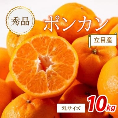 【先行受付】《2027年1月下旬から順次発送》　秀品　立目産　ポンカン　10kg(2Lサイズ)