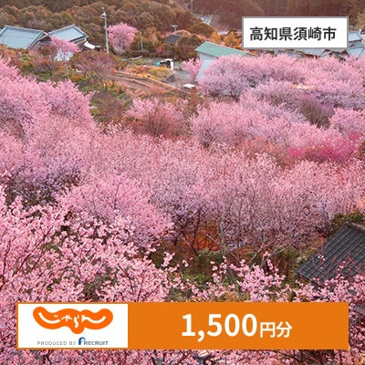 【じゃらんふるさと納税クーポン】 高知県須崎市でつかえる1,500円 クーポン