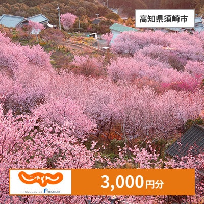 【じゃらんふるさと納税クーポン】 高知県須崎市でつかえる3,000円 クーポン