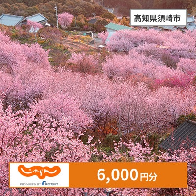 【じゃらんふるさと納税クーポン】 高知県須崎市でつかえる6,000円 クーポン