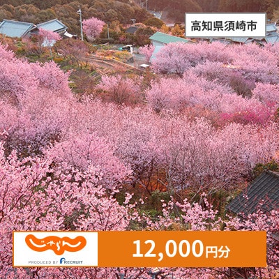 【じゃらんふるさと納税クーポン】 高知県須崎市でつかえる12,000円 クーポン
