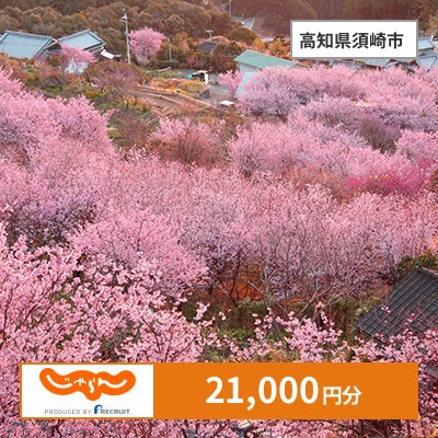 【じゃらんふるさと納税クーポン】 高知県須崎市でつかえる21,000円 クーポン