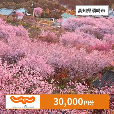 【じゃらんふるさと納税クーポン】 高知県須崎市でつかえる30,000円 クーポン