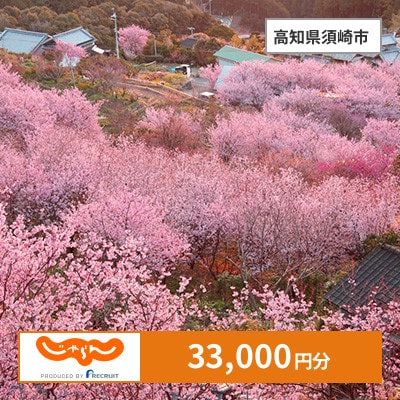 【じゃらんふるさと納税クーポン】 高知県須崎市でつかえる33,000円 クーポン