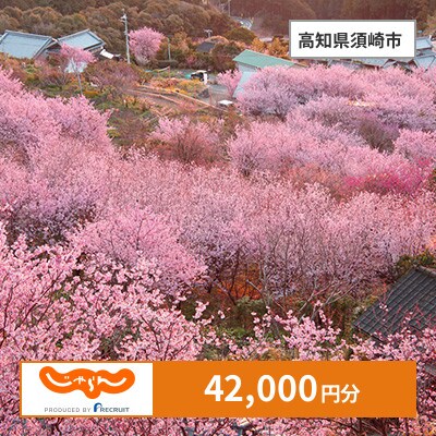 【じゃらんふるさと納税クーポン】 高知県須崎市でつかえる42,000円 クーポン