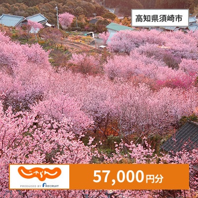 【じゃらんふるさと納税クーポン】 高知県須崎市でつかえる57,000円 クーポン