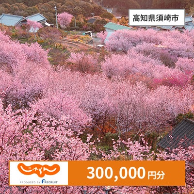 【じゃらんふるさと納税クーポン】 高知県須崎市でつかえる300,000円 クーポン