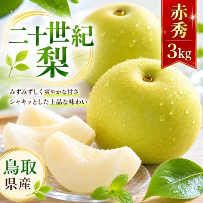 【2027年発送分先行受付】二十世紀梨(赤秀) 3kg【やまさきファーム】