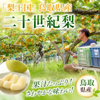 【2027年発送分先行受付】二十世紀梨(赤秀) 3kg【やまさきファーム】