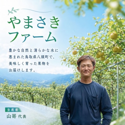 【2027年発送分先行受付】二十世紀梨(赤秀) 3kg【やまさきファーム】