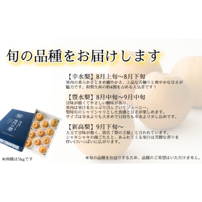 旬の品種をお届け!うずしおペアー4.5kg 