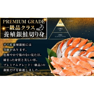【2026年10月発送】 ★一級品プレミアム銀鮭★ キングサイズの甘塩銀鮭 厚切 5切