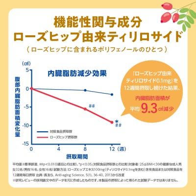 からだを想う オールフリー 500ml×24本 ch016-019rr-sp