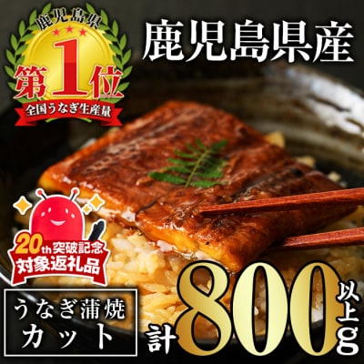 無投薬!鹿児島県産うなぎ蒲焼カット(計800g以上・約50g×15枚) タレ・山椒付き
