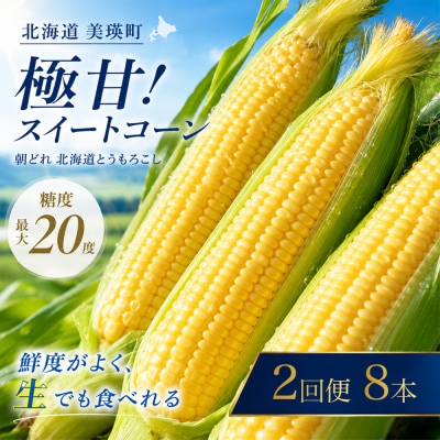 とうもろこし 8本 定期便 2回【令和9年産先行受付】黒木農場 (ほしつぶコーン) 