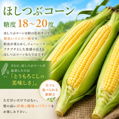 とうもろこし 8本 定期便 2回【令和9年産先行受付】黒木農場 (ほしつぶコーン) 
