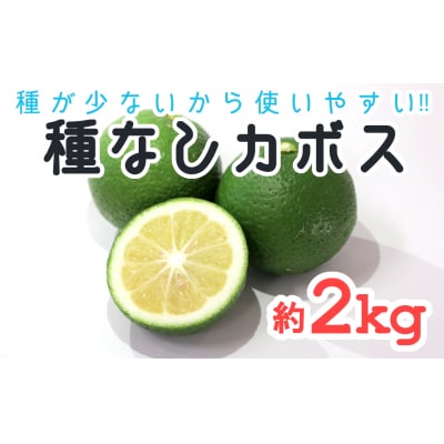 種が少ないから使いやすい!佐々木さんの「種なし(小種)カボス」約2kg | ふるさと納税のお礼品