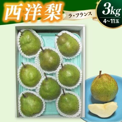 西洋梨(ラフランス)3kg　0030-2637