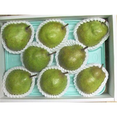 西洋梨(ラフランス)3kg　0030-2637