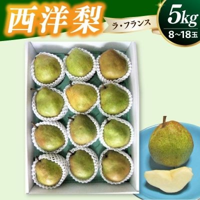 西洋梨(ラフランス)5kg　0030-2638