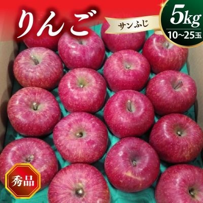 りんご(サンふじ)5kg　10～25玉　0030-2640