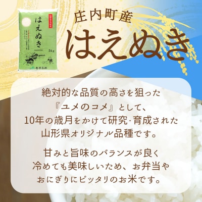 JAあまるめ 山形県庄内町産 はえぬき 10kg×1袋 令和7年産 2025年産 ブランド米