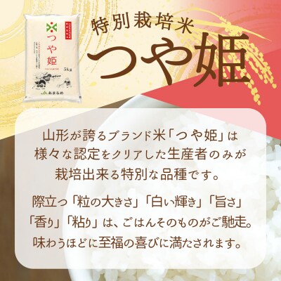 JAあまるめ 山形県庄内町産 特別栽培米つや姫 10kg 5kg×2袋 令和7年産 2025年産