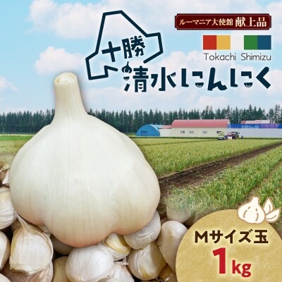 【北海道産】十勝育ちの十勝清水にんにく Mサイズ(玉) 1kg