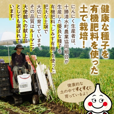 【北海道産】十勝育ちの十勝清水にんにく バラ1kg