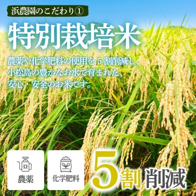 【2026年9月順次発送】特別栽培米　にじのきらめき 白米 10kg 小松島市 米 新米