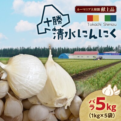 【北海道産】十勝育ちの十勝清水にんにく バラ5kg
