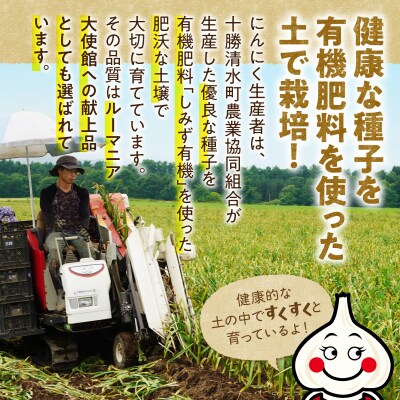 【北海道産】十勝育ちの十勝清水にんにく バラ5kg