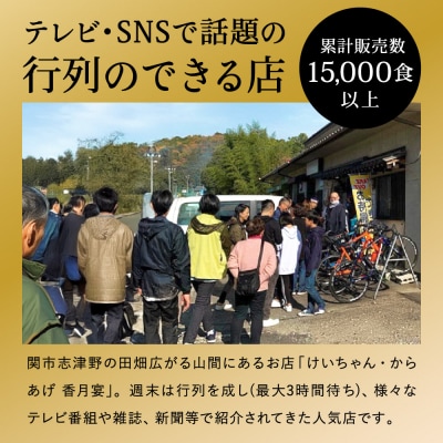 G10-18 メディア掲載多数!【調理済み・冷凍】香月宴の鶏ちゃん・からあげセット 計810g