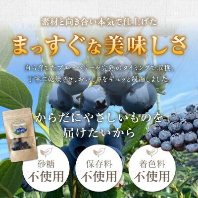 【予約受付】【無添加・砂糖不使用】ドライブルーベリー(15g×6パック) H164-014