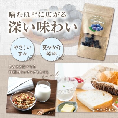 【予約受付】【無添加・砂糖不使用】ドライブルーベリー(15g×6パック) H164-014