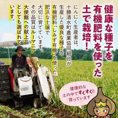 【北海道産】十勝清水にんにく使用!十勝熟成黒にんにく カップ 90g