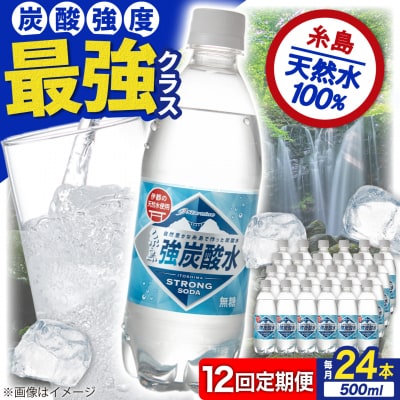 【全12回定期便】強炭酸水プレーン 500ml × 24本  糸島市/スターナイン[ARM011]