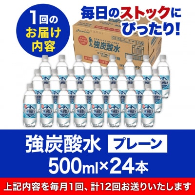 【全12回定期便】強炭酸水プレーン 500ml × 24本  糸島市/スターナイン[ARM011]