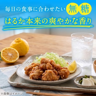 【期間限定】糸島はるかの炭酸水 500ml×24本入り 糸島市/スターナイン [ARM021]